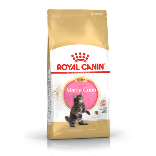 Royal Canin Gatto Maine Coon Kitten