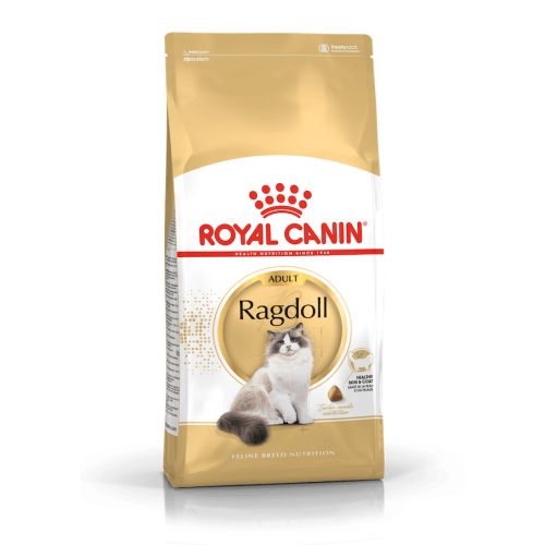 Royal Canin Gatto Ragdoll