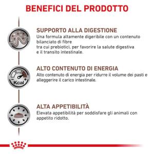 Royal Canin Gatto Gastrointestinal Cf. (12 x 85) Gr 2
