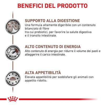 Royal Canin Gatto Gastrointestinal Cf. (12 x 85) Gr