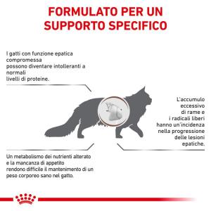 Royal Canin Gatto Hepatic 2 Kg 2