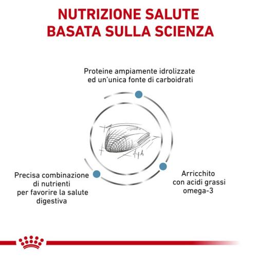 Royal Canin Gatto Hypoallergenic