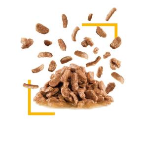 Royal Canin Gatto Sensory Taste Busta In Salsa 85 Gr 2