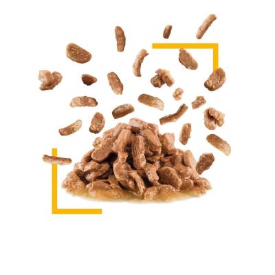 Royal Canin Gatto Sensory Taste Busta In Salsa 85 Gr