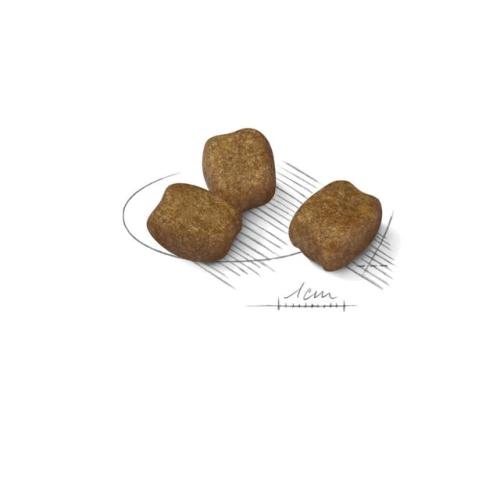 Royal Canin Cane Mini Dental Care