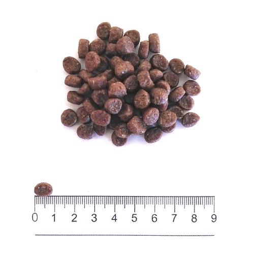 Prolife Cane Dual Fresh Adulto Mini Salmone, Merluzzo & Riso