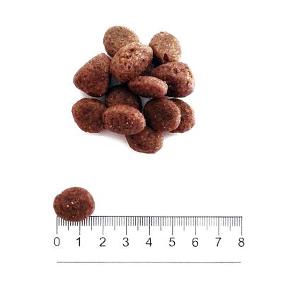 Prolife Cane Grain Free Sensitive Adulto Medium & Large Maiale & Patate