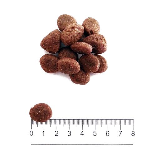 Prolife Cane Grain Free Sensitive Adulto Medium & Large Maiale & Patate