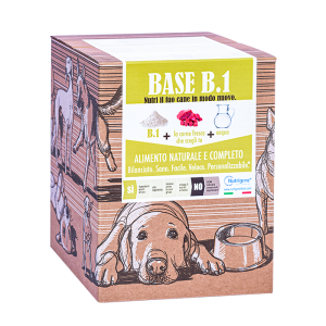 BASE B1 1kg 2