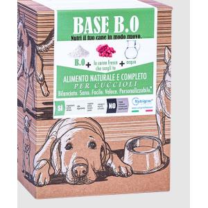 B.A.S.E. B.0 1kg