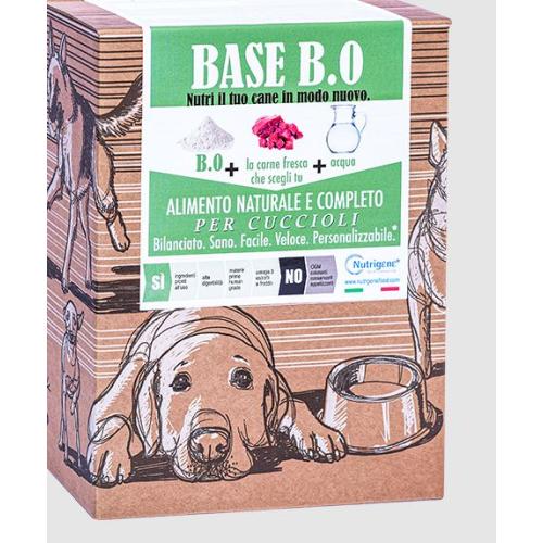 B.A.S.E. B.0 1kg