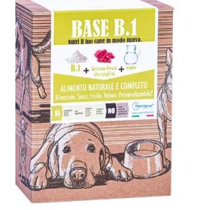 BASE B1 1kg