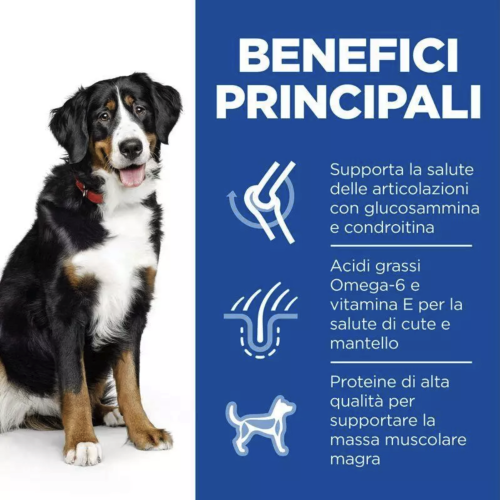 Hill's Science Plan cane adulto Large Breed Pollo 12 Kg