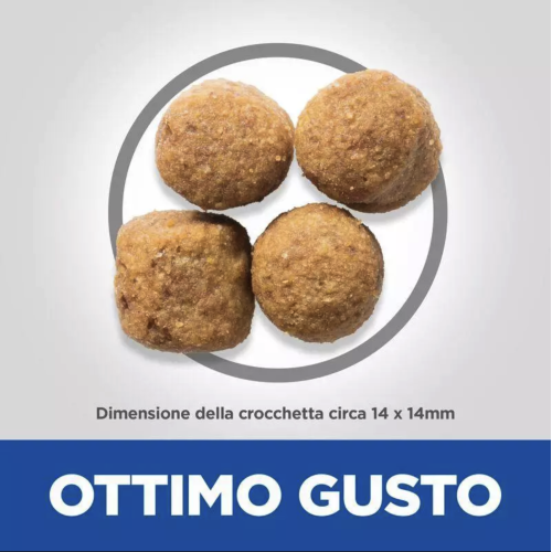 Hill's Science Plan cane adulto Large Breed Pollo 12 Kg