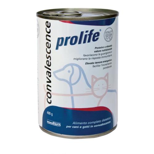 Prolife Cane e Gatto Convalescence Lattina alimento