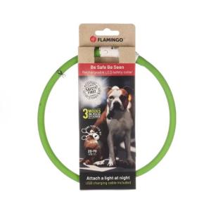 Flamingo Collare Led Cane Verde 2