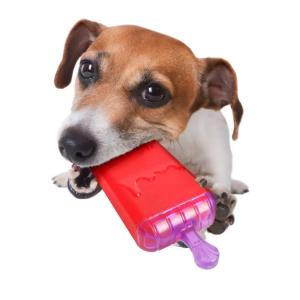 Flamingo Gioco Cane Rinfrescante Warl Ghiacciolo