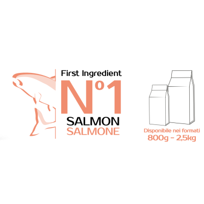 Salmone crocchette monge superpremium extra small