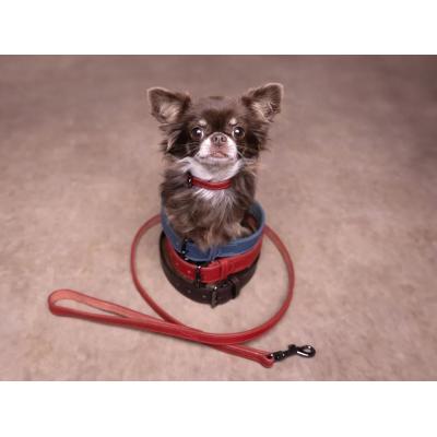 Flamingo Collare Per Cane In Pelle Rosso Denver cane
