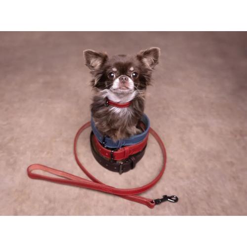 Flamingo Collare Per Cane In Pelle Rosso Denver cane