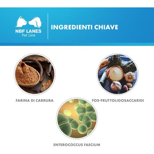 Carobin Pet Digest Bustine ingredienti