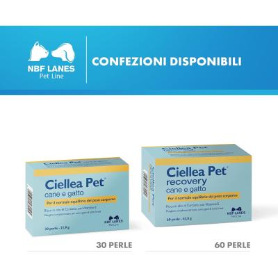 Ciellea Pet Recovery Perle confezioni