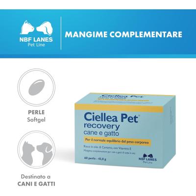 Ciellea Pet Recovery Perle appetibile