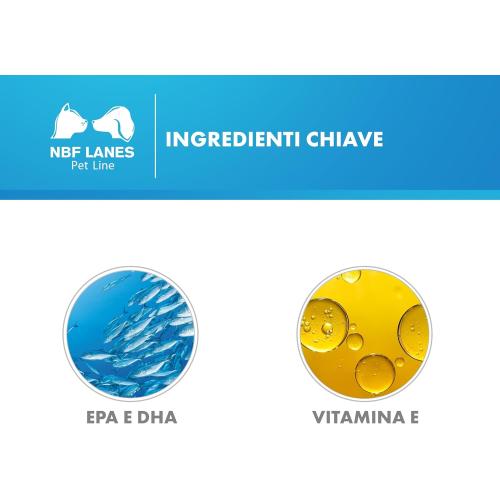 Coractiv Perle ingredienti
