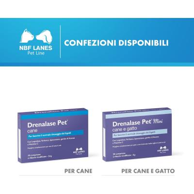 Drenalase Pet Mini confezioni