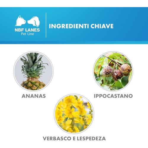 Drenalase Pet Mini ingredienti