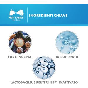 Microbiotal Cane compresse 2