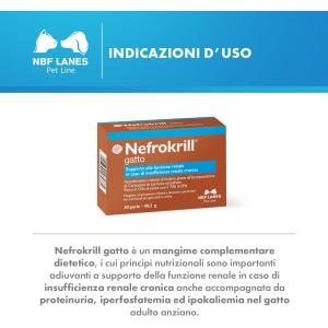 Nefrokrill Gatto 30 Perle 2