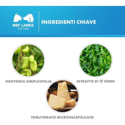 Relaxigen Pet Cane ingredienti
