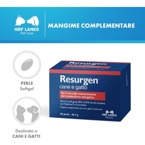 Resurgen perle