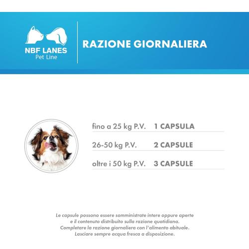 Reuteral Pet cane dosaggio