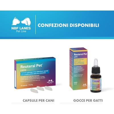 Reuteral Pet capsule