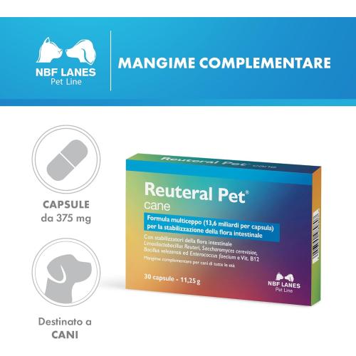 Reuteral Pet cane