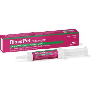 Ribes Pet Pasta