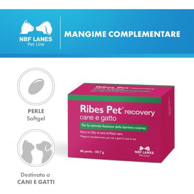 Ribes Pet Recovery 60 perle
