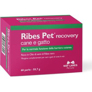 Ribes Pet Recovery
