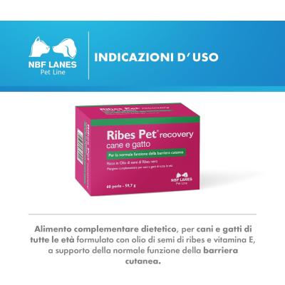 Ribes Pet Recovery utilizzo