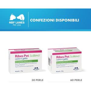 Ribes Pet Sollievo 2