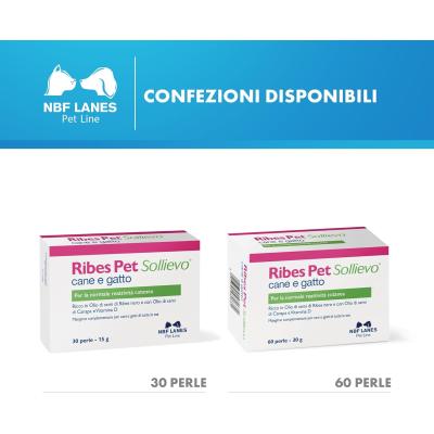 Ribes Pet