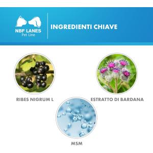 Ribes Pet Ultra 2