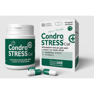 Condrostress GAtto