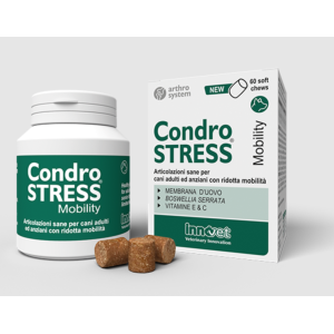 Condrostress mobility soft chews