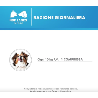 Razione giornaliera cani zincogen immuno compresse
