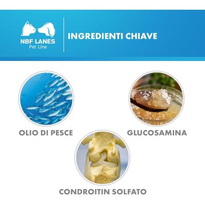 INGREDIENTI chiave artikrill gatto perle