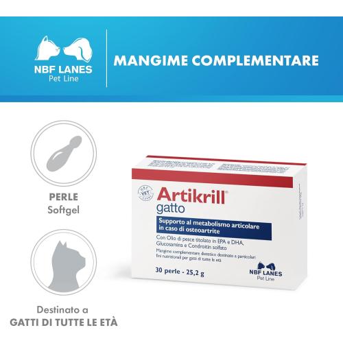 Artikrill Gatto