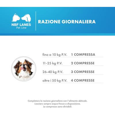 Carevit Cane dosaggio